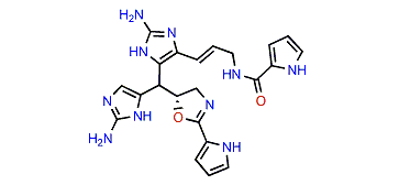 Nagelamide T